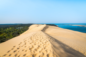 MARLEN IMMO Agence Immobilière Cenon Dune Du Pyla Océan