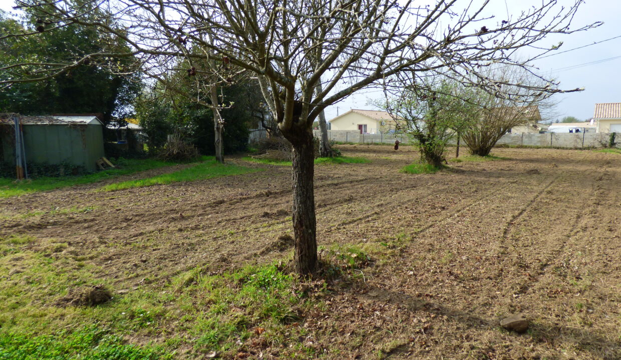 MARLEN IMMO Agence Immobiliere Cenon P1000927